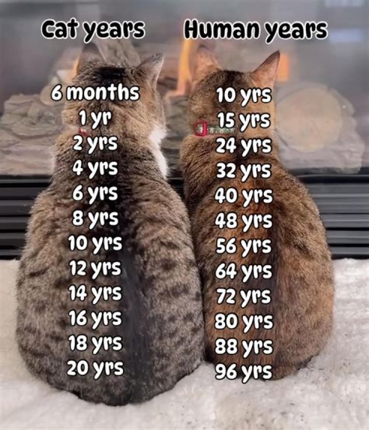 Jackson Age How Old Is Jackson?