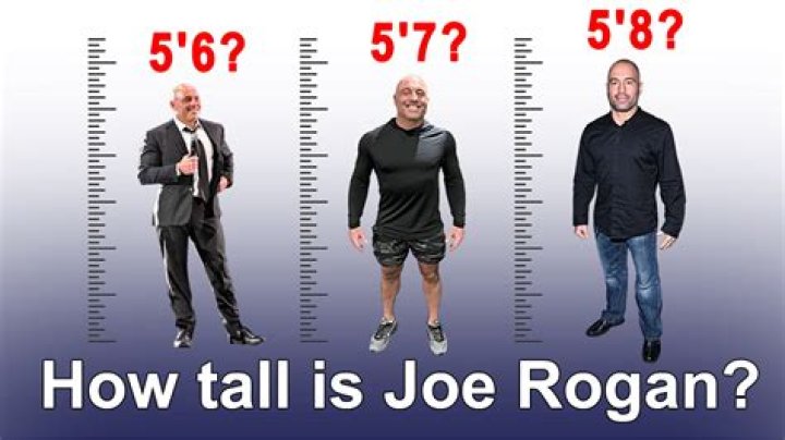 Joe Rogan Height And Weight About You