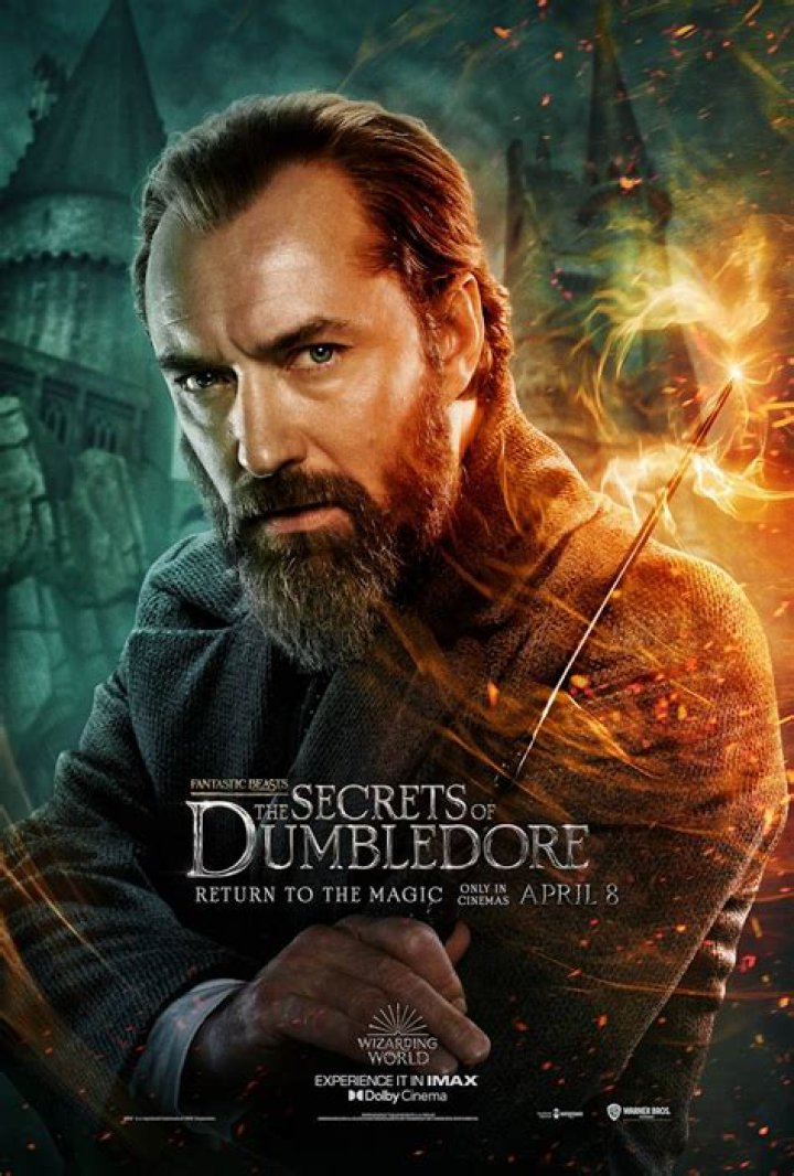 Jude Law as Albus Dumbledore Picture POPSUGAR Entertainment