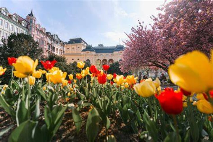 Karlovy Vary guests divided on contentious Johnny Depp tribute News