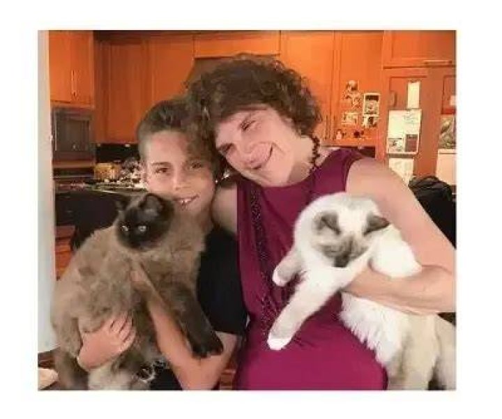 Katie Springer Wiki Age, Husband, Children, Net Worth, Bio, Family