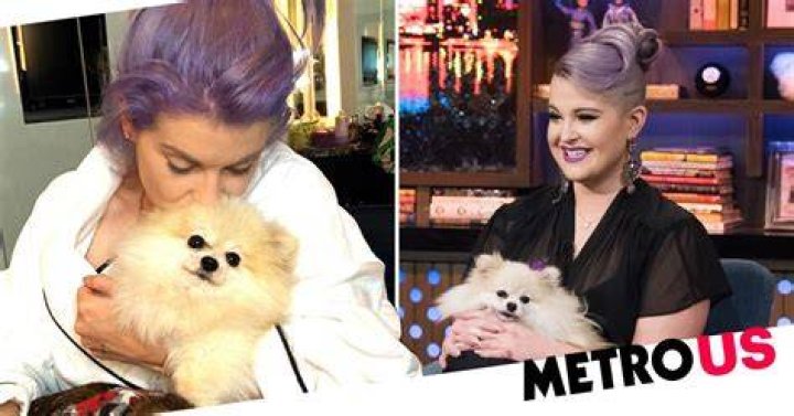 Kelly Osbourne heartbroken as beloved dog dies &lsquo;I've lost my shadow