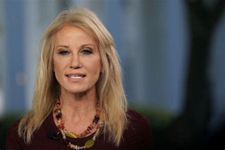 Kellyanne Conway Says Democrats and Media Would Back Trump's Wall If
