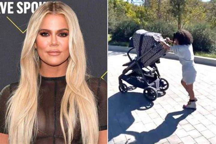 Khloé Kardashian Shares Sweet Photos of Daughter True's New Cat