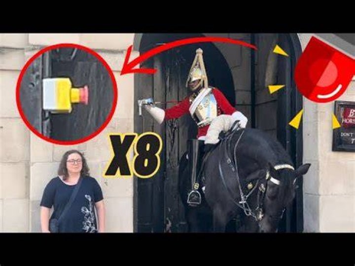 King Alarm Security Guard Goes Viral Radamm