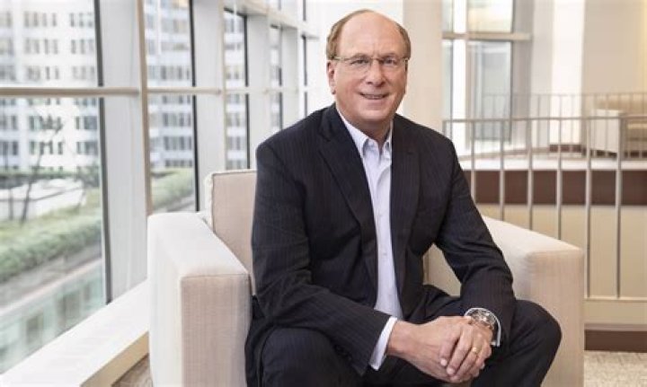 Larry Fink Letter To Ceos 2024 Jolyn Madonna
