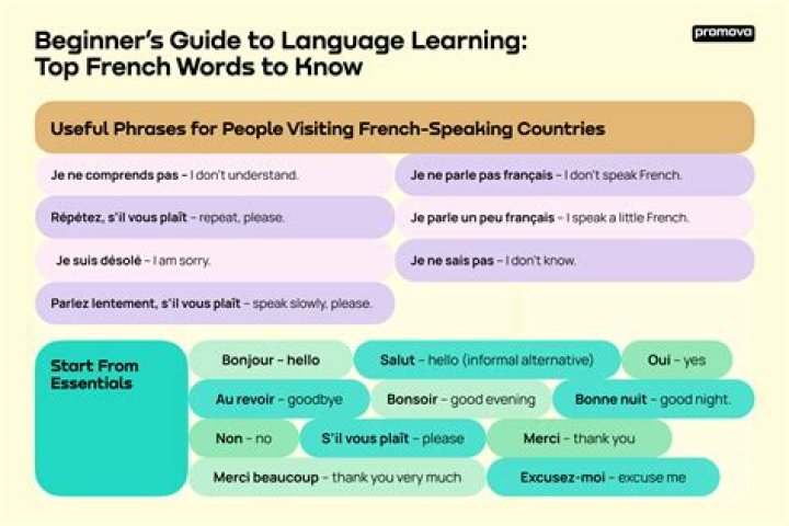 Learn To Speak French Like Chandler: Secrets From Matthew Perry's Fluent French
