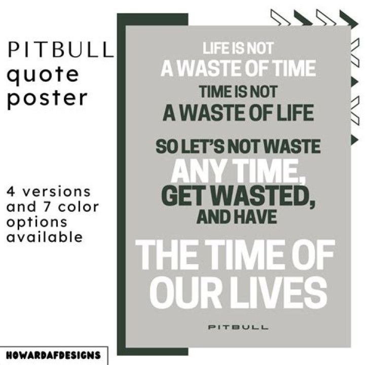 Life Is Not A Waste Of Time: The Pitbull Perspective