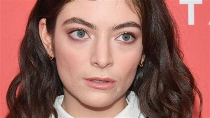 Lorde makes a fashion statement in seethrough black Daily Mail Online