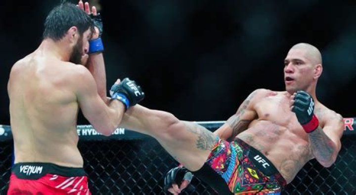 Magomed Ankalaev Aiming to Dagestan's Next Champion at UFC 282 BVM Sports