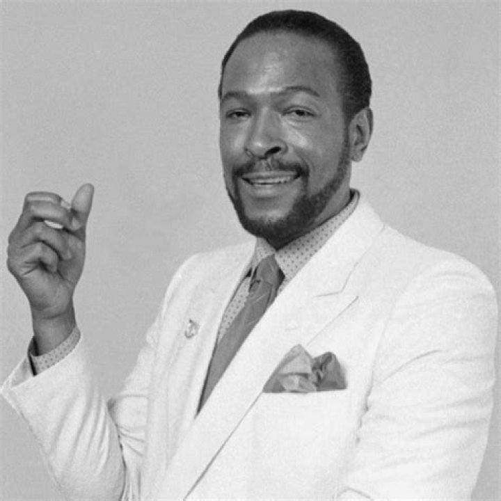 Marvin Gaye's Death And Estate Battle To Be Explored In REELZ Documentary