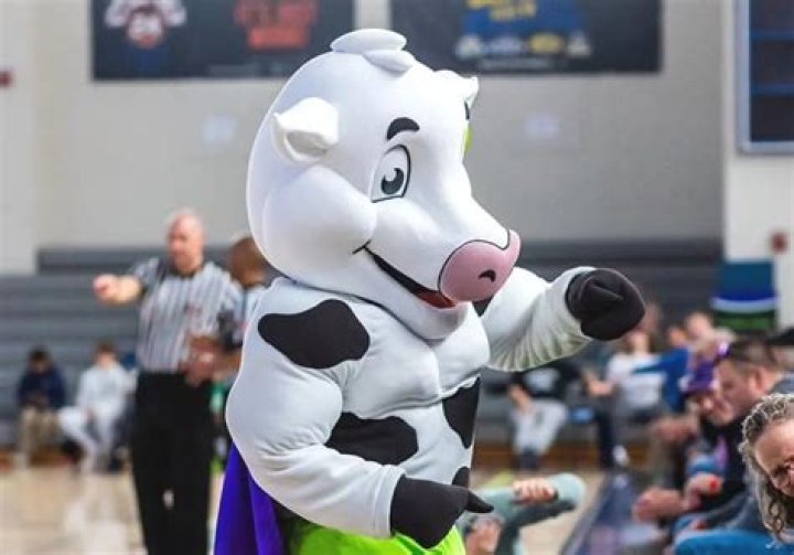 Mascot designs put to vote UND Today