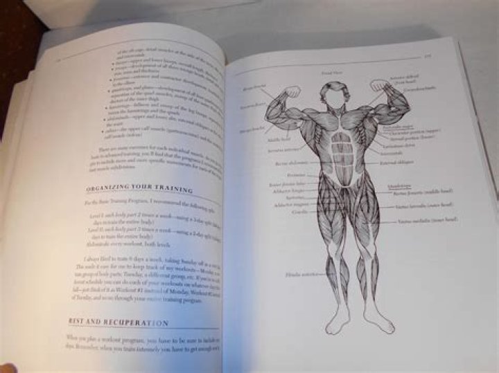 Matt Kaplan's Comprehensive Guide To Bodybuilding