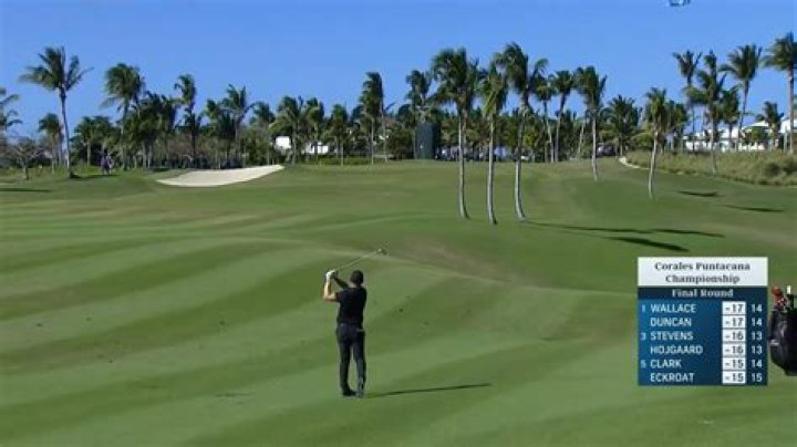 Matt Wallace uses late birdie run to capture first PGA TOUR title