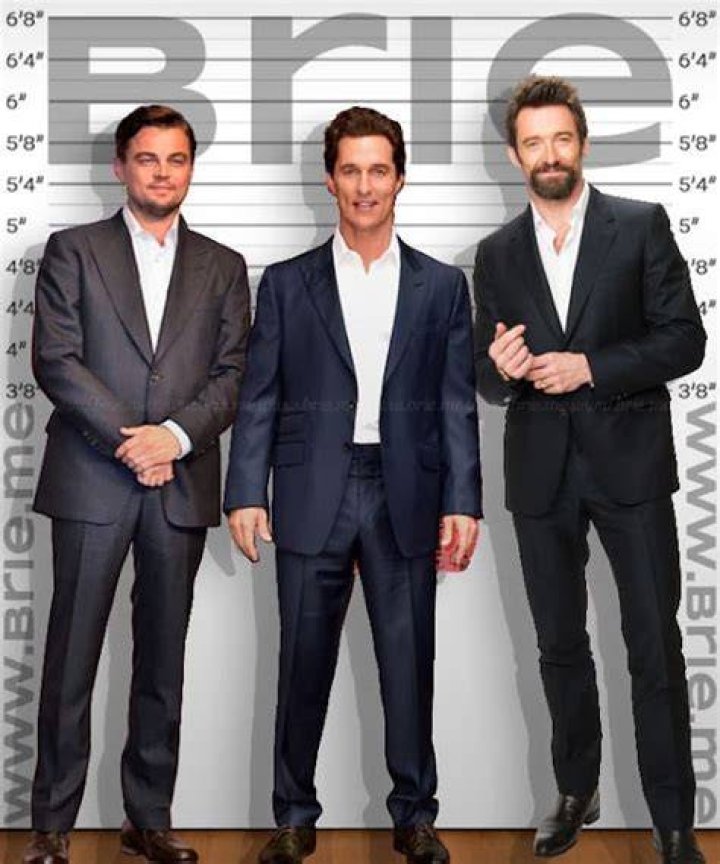 Matthew McConaughey Height Brie