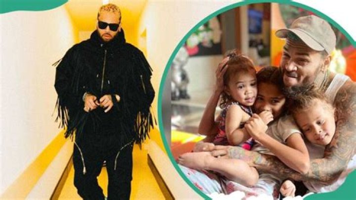 Meet Chris Brown&rsquo;s children and their baby mothers Legit.ng