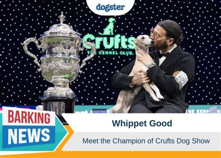Meet The Champion's Companion: Unveiling Iga Swiatek's Partner