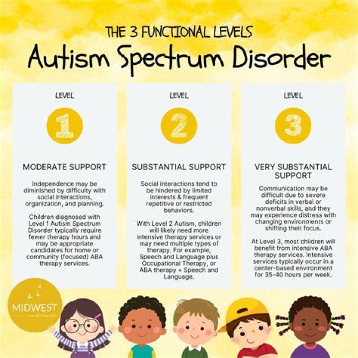 Mellstroy Autism: Understanding The Journey And Impact