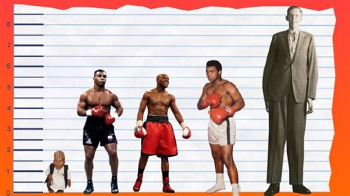 Mike Tyson Height, Weight, Age, Affairs, Biography & More &raquo; StarsUnfolded