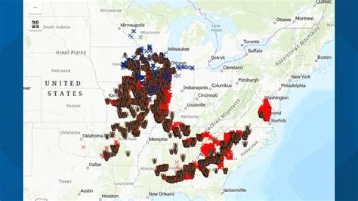 Millions of Cicadas to swarm parts of US this year The Independent