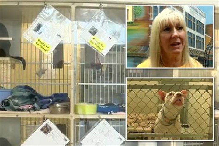 Mom Heather Wyatt faces lawsuit from teens' parents after claims 4
