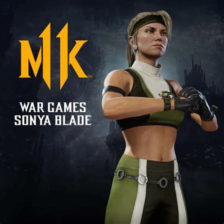 Mortal Kombat Deluxe Sonya Blade Costume Halloween Costume Ideas
