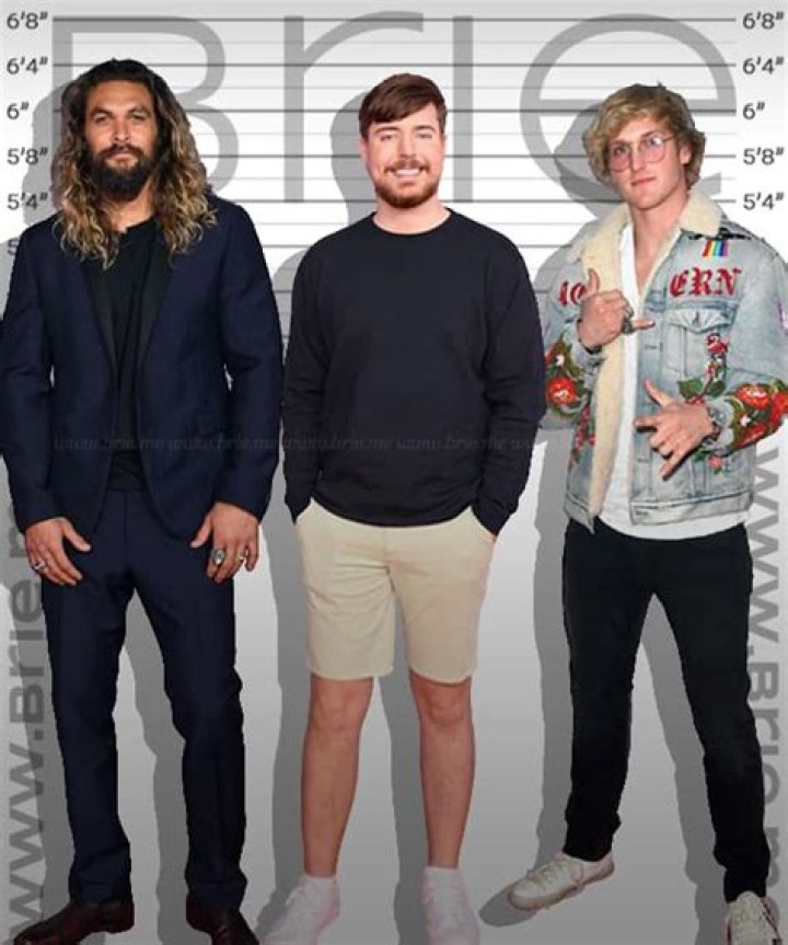 MrBeast Height Brie
