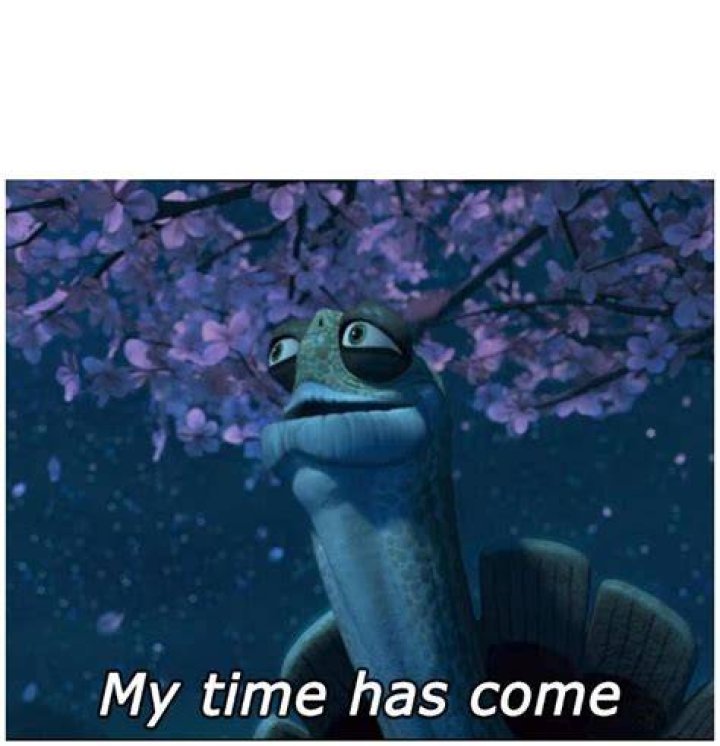 My Time Has Come Meme Turtle