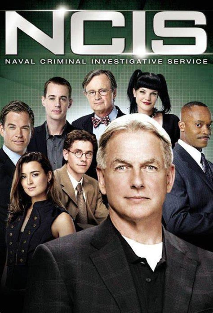 NCIS' Pauley Perrette's exhusband accuses her of stalking him Daily