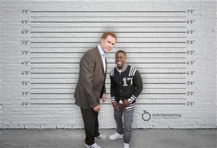Neil Flynn: Unveiling The Height Of A Comedy Legend