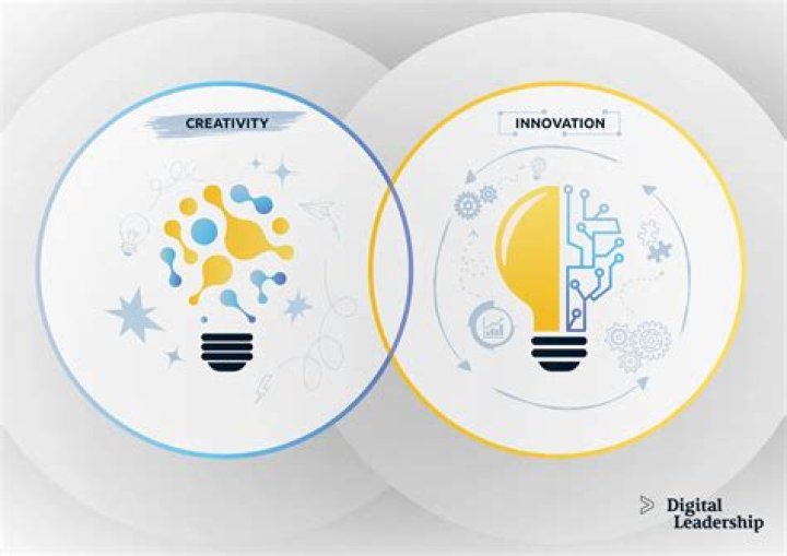 Nellstroy: A Journey Through Creativity And Innovation