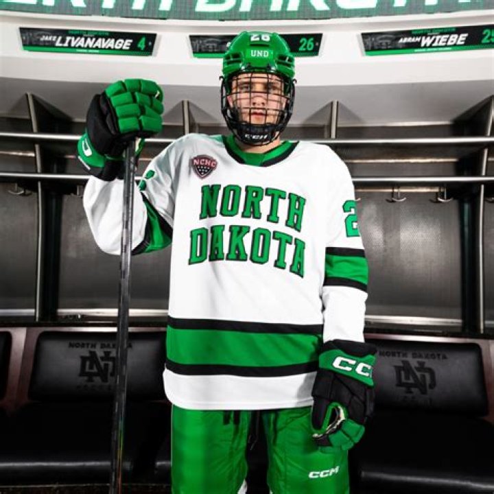 North Dakota Fighting Hawks North Dakota Football Mascot Single Laye