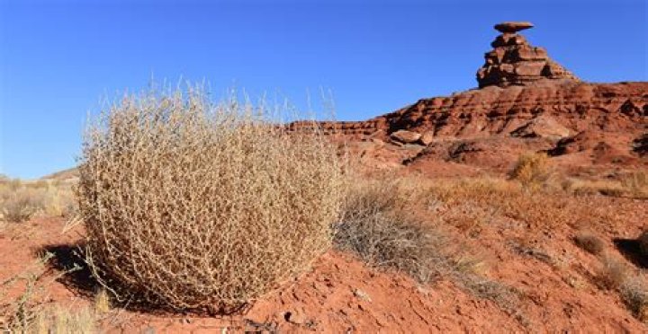 Now I See Why Tumbleweed Became A GHOST TOWN In RDR1 Red Dead