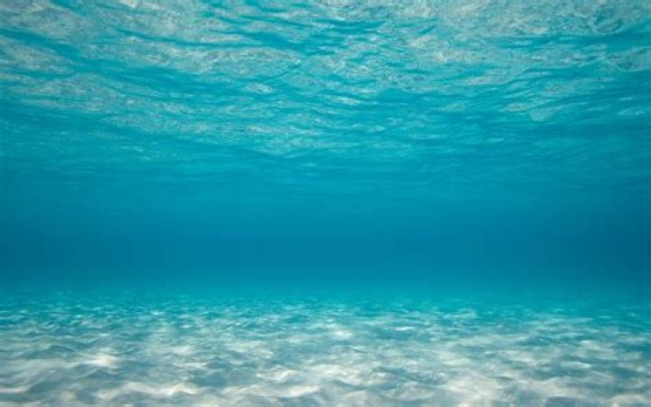 Ocean Underwater Wallpaper HD