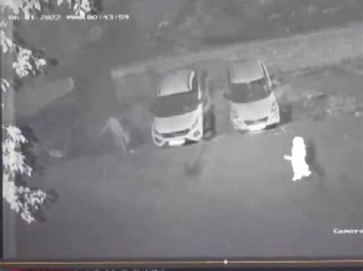Pandav Nagar Murder Case CCTV Captures MotherSon Duo Dumping Man's