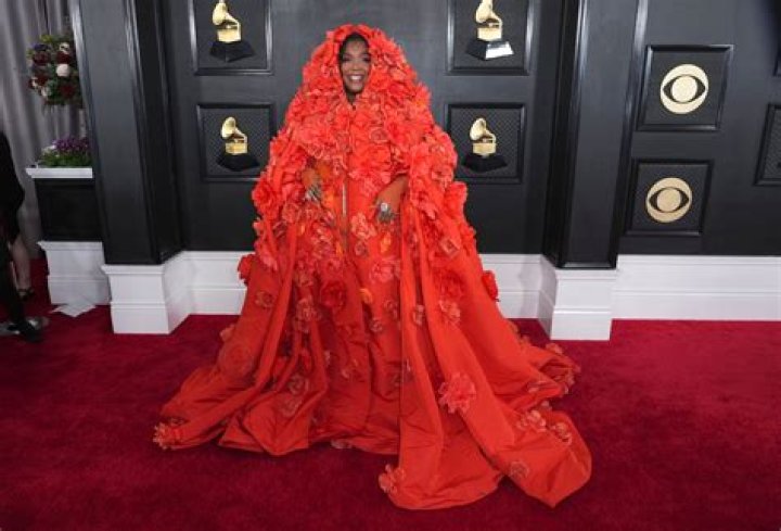 Paris Hilton's Iconic Grammy Dress: Style And Glamour On The Red Carpet