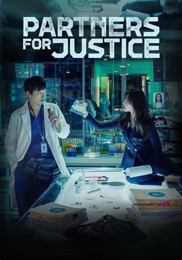 Partners for Justice streaming tv series online