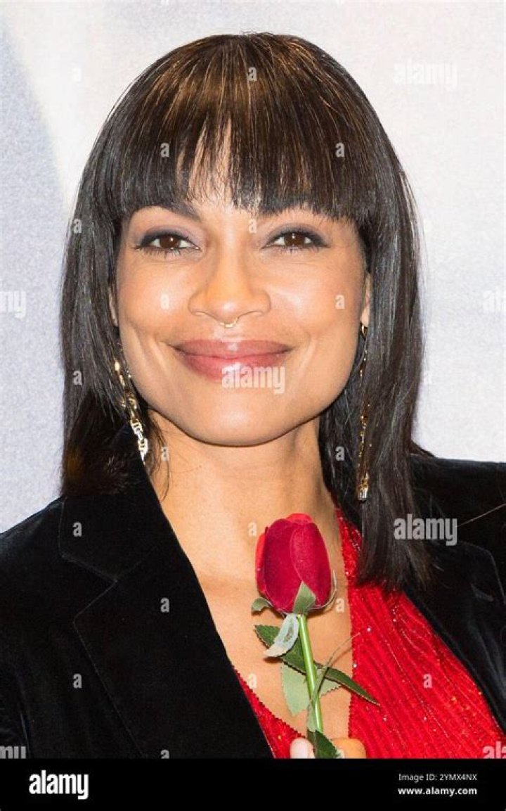 Patrick C. Harris Facts About The Father Of Actress Rosario Dawson