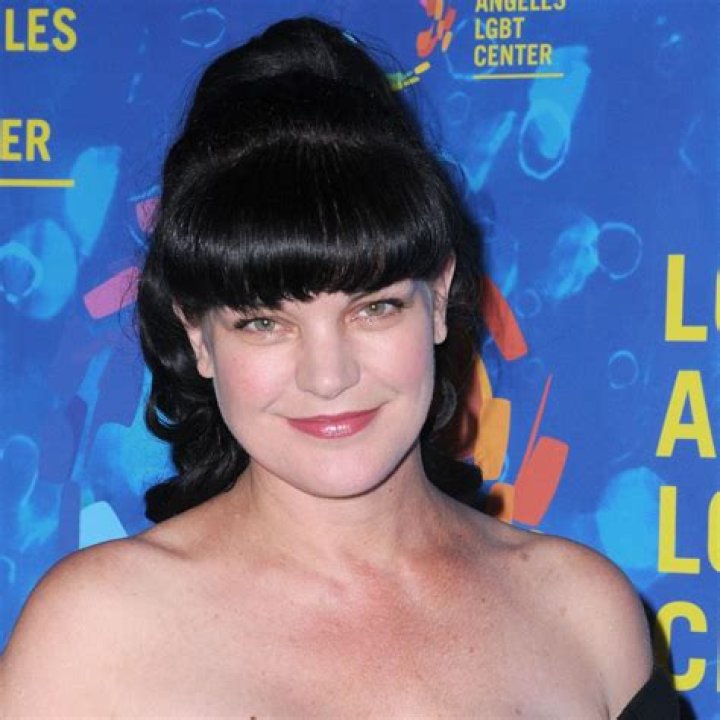 Pauly Perrette 2010 Photo By John Barrett/PHOTOlink Stock Photo Alamy