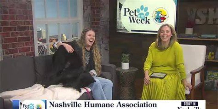 Pet of the Week Polly New Albany/Floyd County Animal Shelter