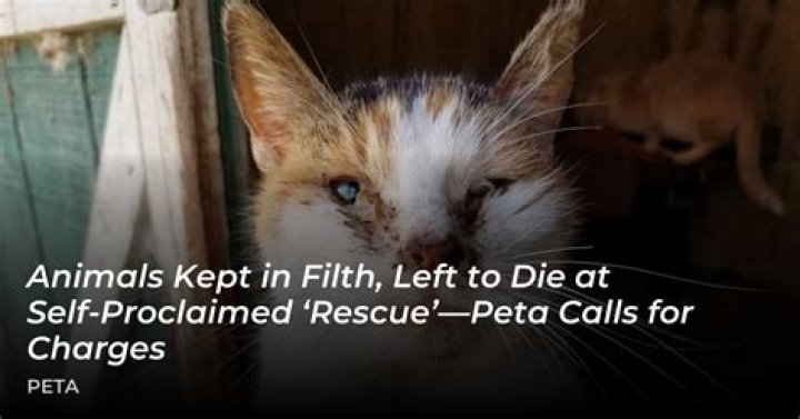 PETA calls for felony charges. What do you think is appropriate for
