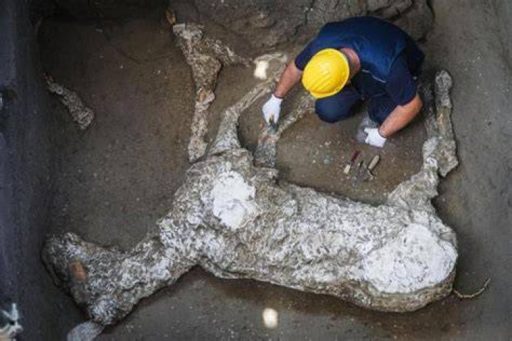 Petrified horse remains found in stable near Pompeii Fox News