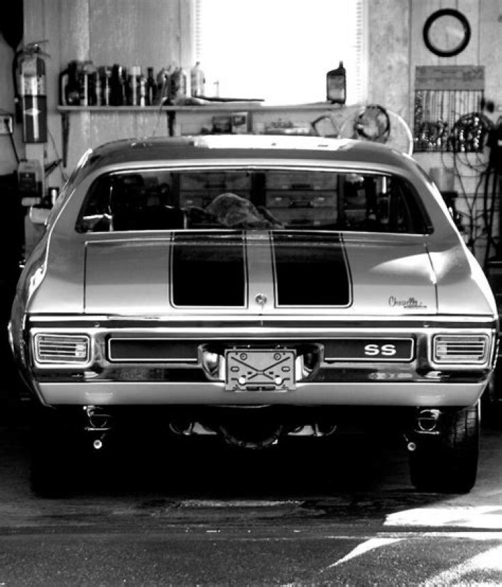 Pin by Che Torch on Barbara Roufs Drag racing, Drag racing cars, Race cars