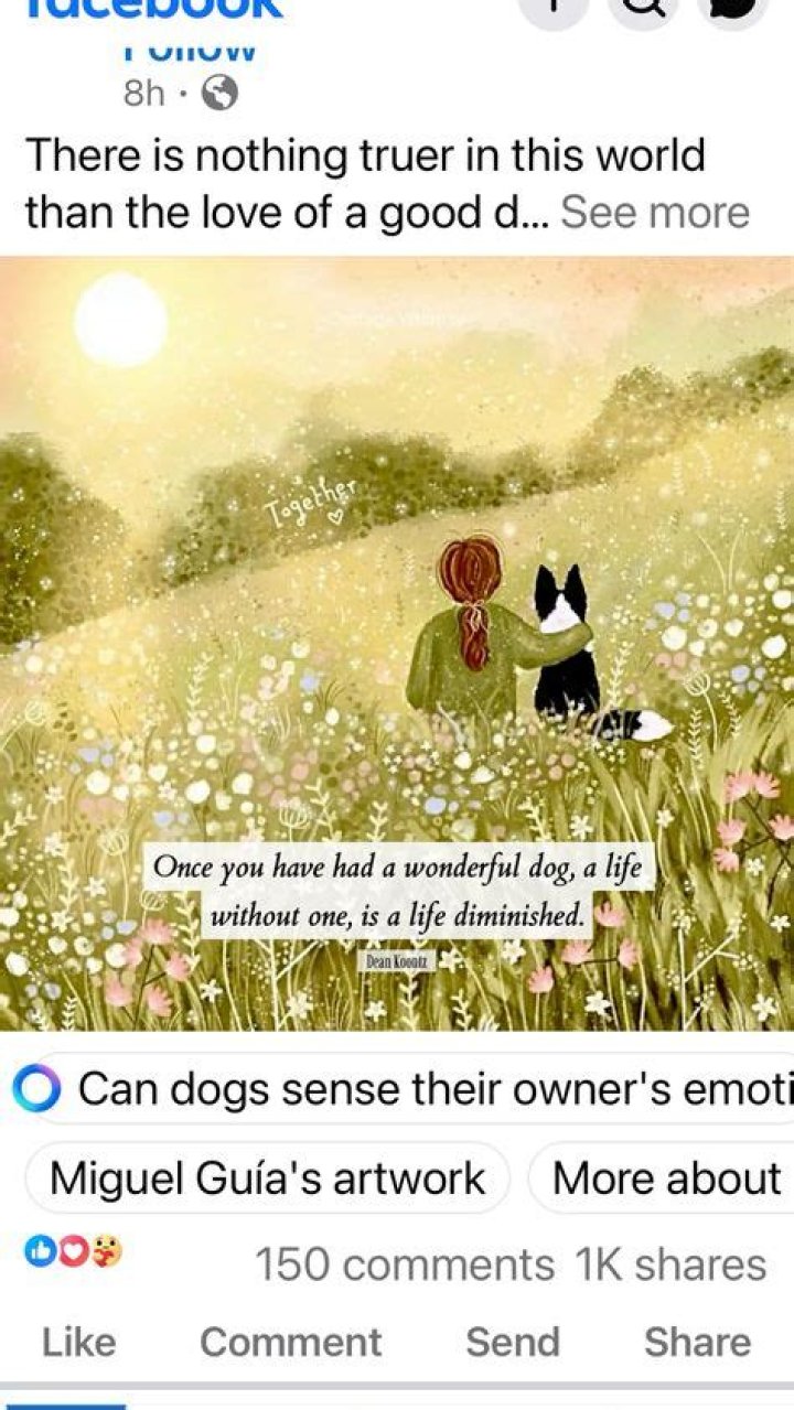 Pin by Marsha Williams on Dad Jokes Cows funny, Cute cows, Animals