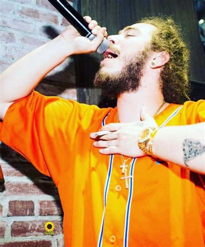 Pin by Van33sa on Rock Star Post malone, Post malone quotes, Post