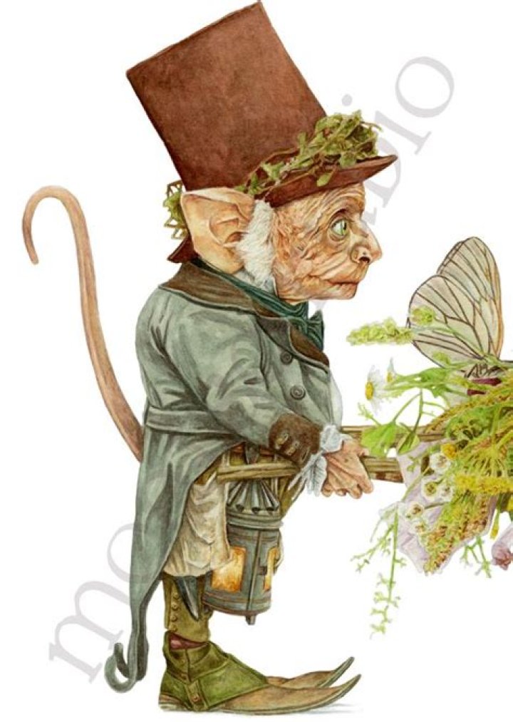 Pin on 2 GNOME SWEET GNOME &sim; AND OTHER STRANGE FOLK...
