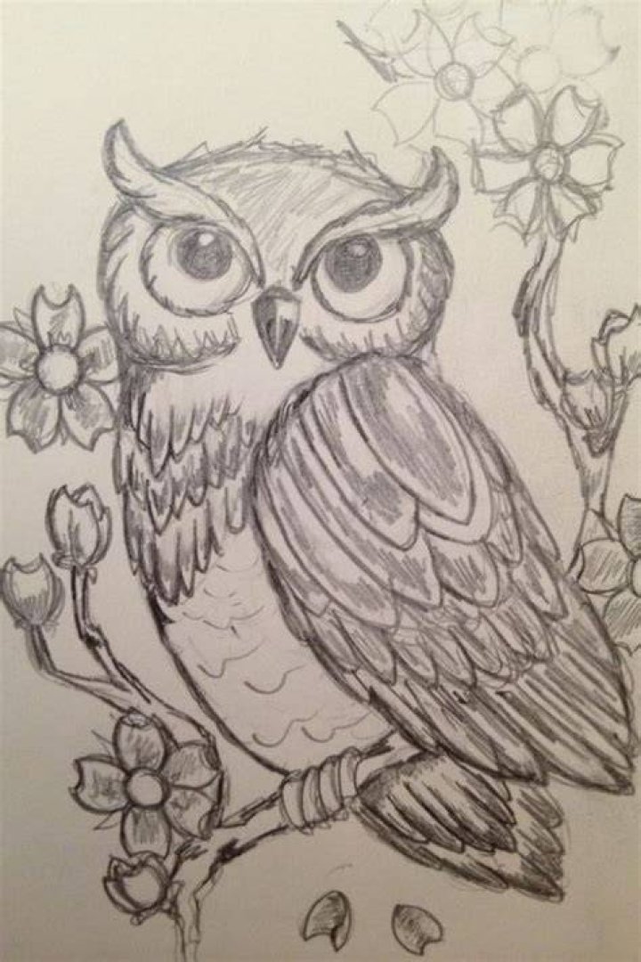 Pin on Cute drawings