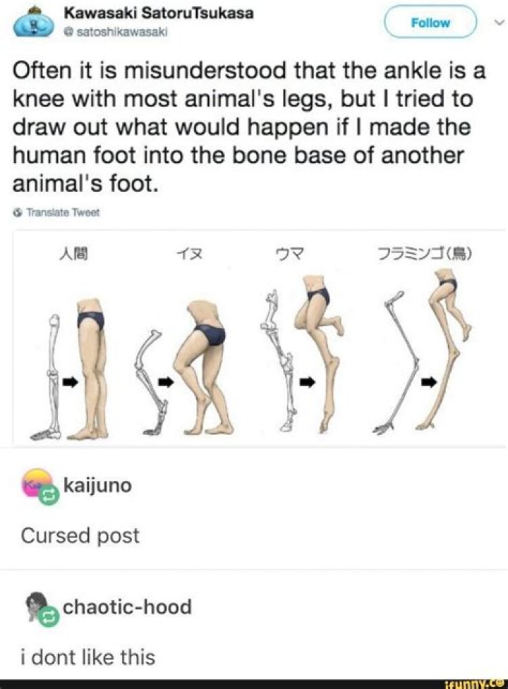 Pin on Funny Human body memes