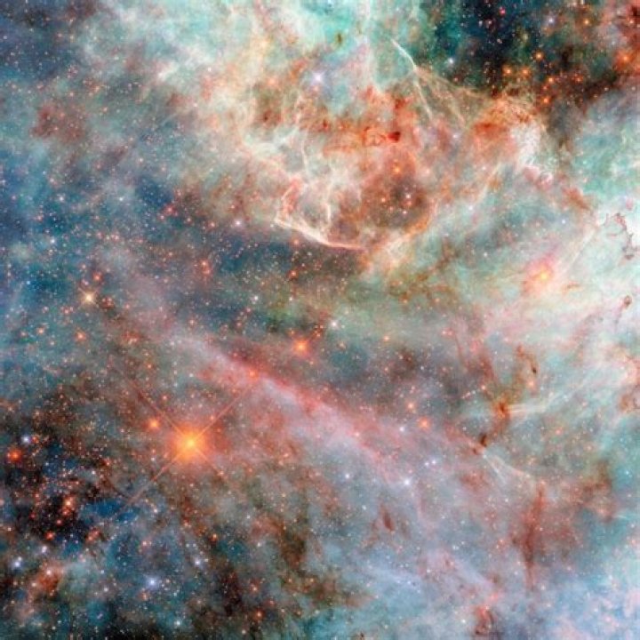 Pin on JUST STARS
