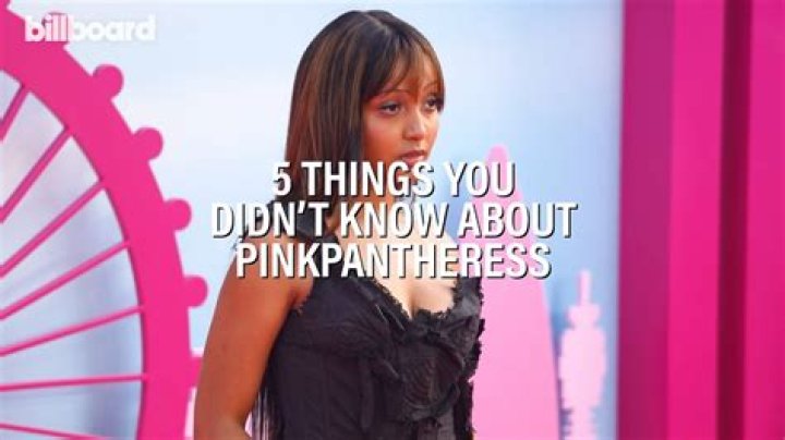 PinkPantheress 9 facts about the Just For Me singer you need to know